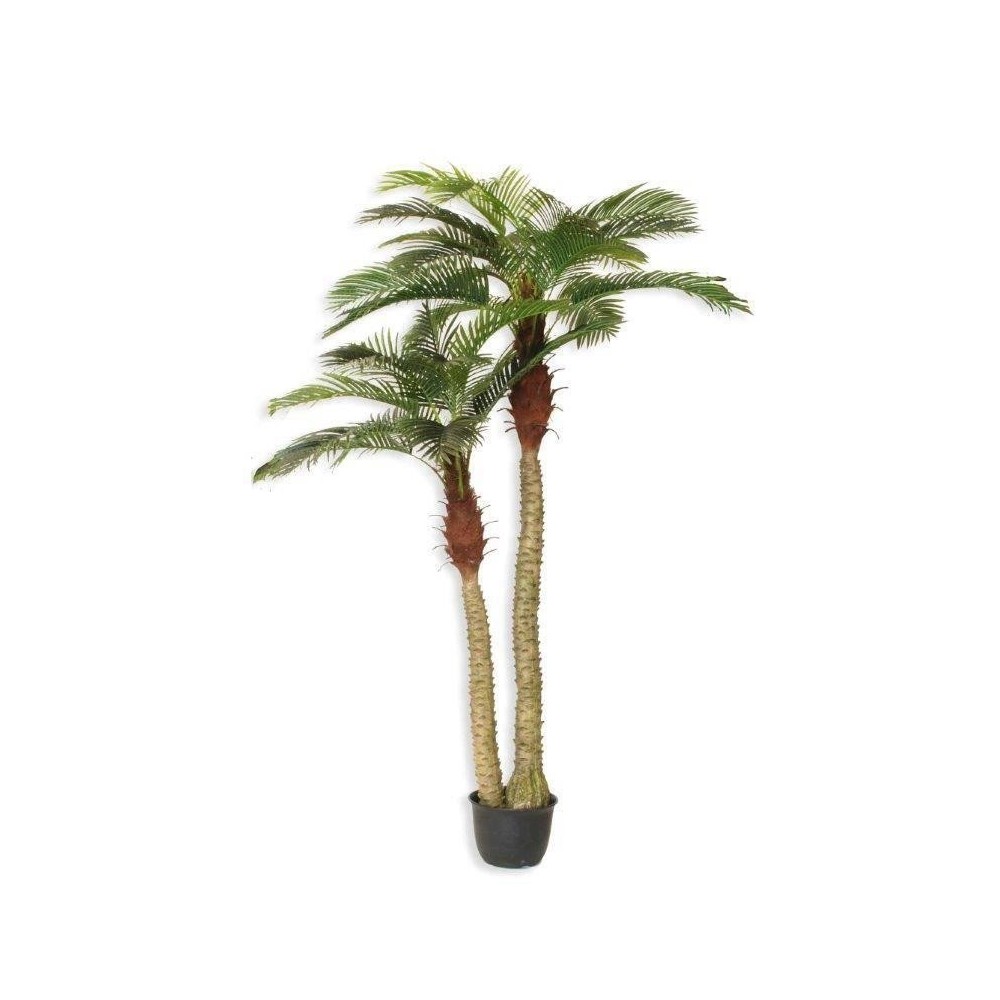 PHOENIX PALMA RT X2 30FG CVASO GREEN